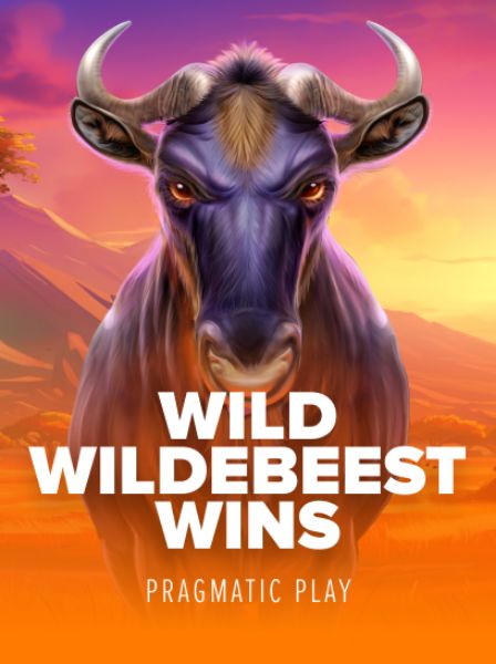 Why Choose PrimeCasino for Your Next Online Gambling Adventure